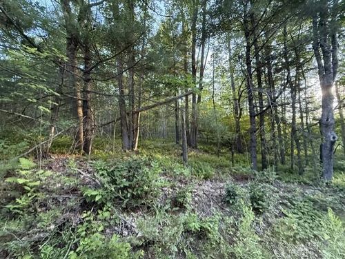 110 Calderwood Rd, Washington, ME, 04574-3439 | Card Image