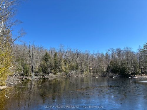 Lot 0 Fire Route 394 N/A, Trent Lakes, ON, K0M1C0 | Card Image