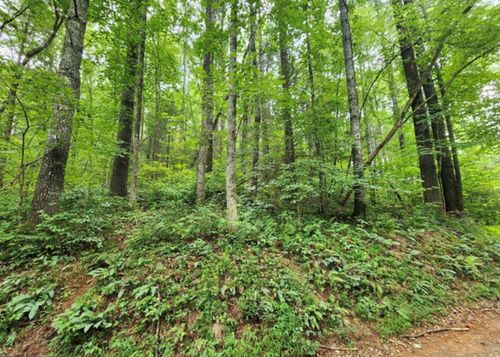 2A Poplar Cove Rd, Suches, GA, 30572 | Card Image