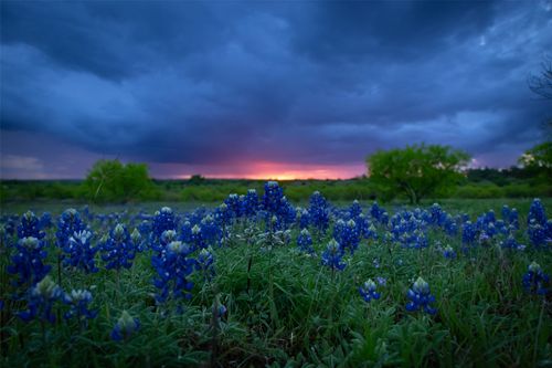 272 Slate Rock Road, Willow City, TX, 78675 | Card Image