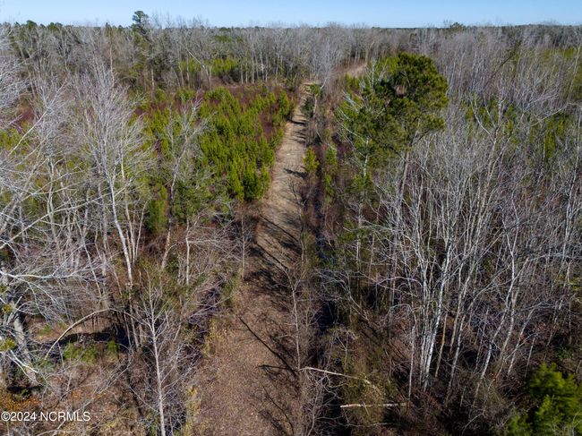 00 Sykes Town Rd, Home with 0 bedrooms, 0 bathrooms and null parking in Currie NC | Image 23