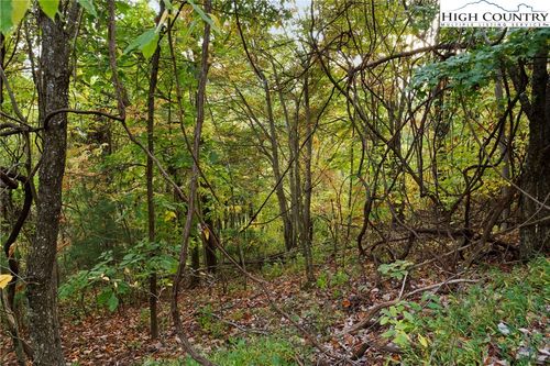 16 Little Ivy, Deep Gap, NC, 28618 | Card Image