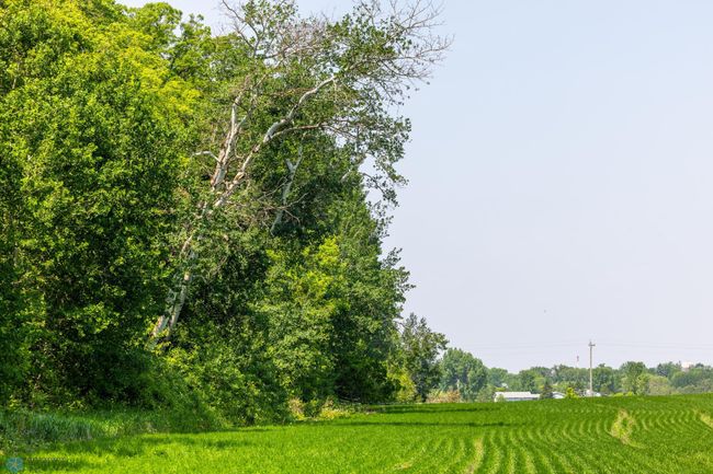 Amdak__Fosston MN - Land_0020.jpg | Image 21
