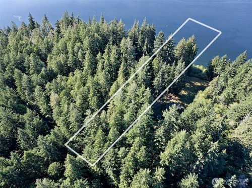 10 Lot C E Philura Lane, Shelton, WA, 98584 | Card Image