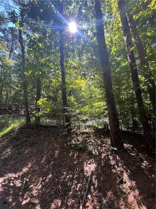 0 Apple Rd Ne, Ranger, GA, 30734 | Card Image