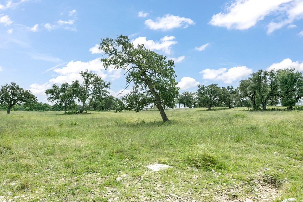 Land in Fredericksburg 5