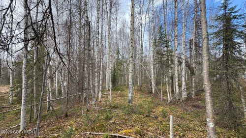19941 E Twentyinch Ave, Willow, AK, 99688 | Card Image