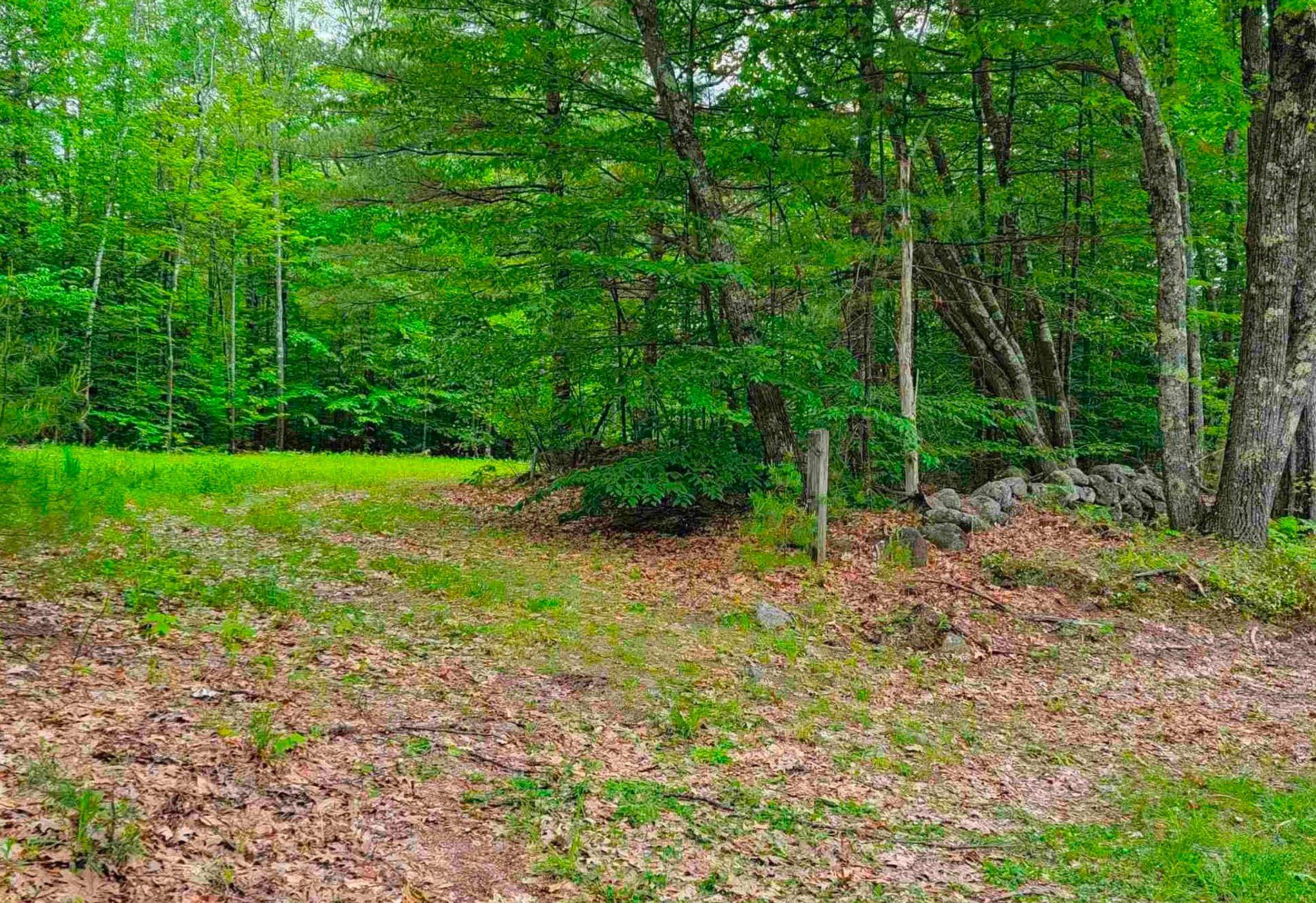 Land in Francestown 2