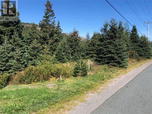 161 Sea Forest Dr, Cupids, NL, A0A | Card Image