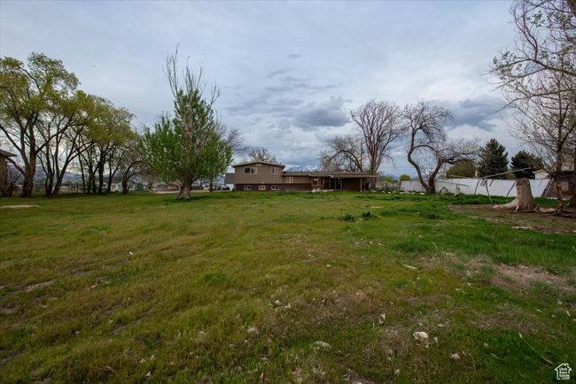 View of yard | Image 34