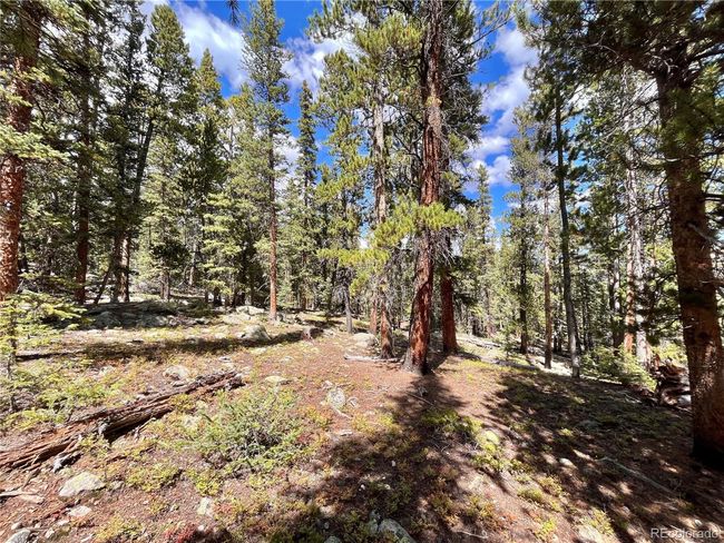676 Dry Gulch Rd, Home with 0 bedrooms, 0 bathrooms and null parking in Fairplay CO | Image 7