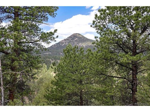 293 Badger Trl, Florissant, CO, 80816 | Card Image