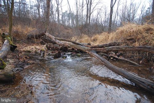 Lot 21 White Mount Way, Romney, WV, 26757-5022 | Card Image