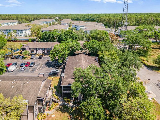 APT-101 - 4035 Angel Oak Ct, Condo with 2 bedrooms, 2 bathrooms and null parking in TAMPA FL | Image 39