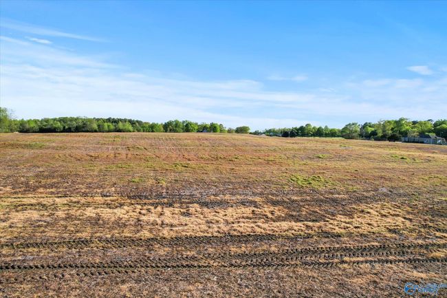 24 Eleven Forty Rd, Home with 0 bedrooms, 0 bathrooms and null parking in Grant AL | Image 15