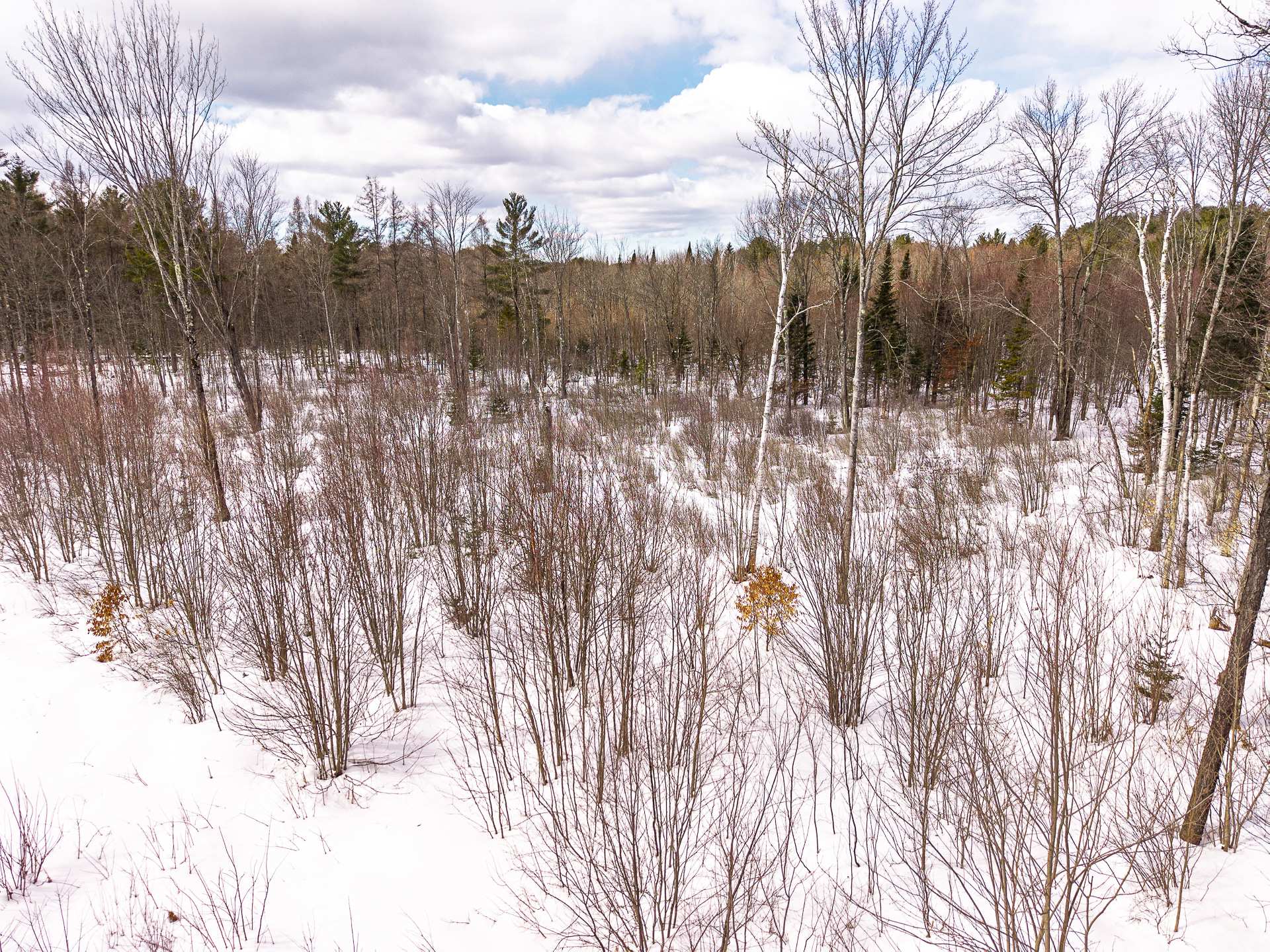 Land in Saint-André-Avellin 4
