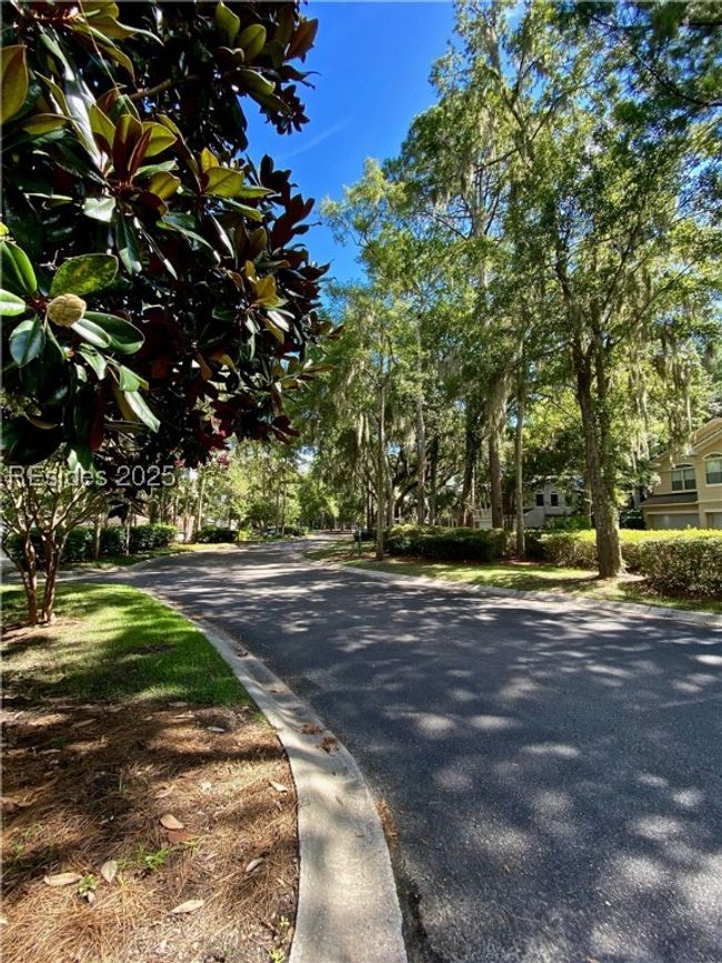 Back road | Image 30