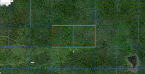 TBD County Road 8, Littlefork, MN, 56653 | Card Image