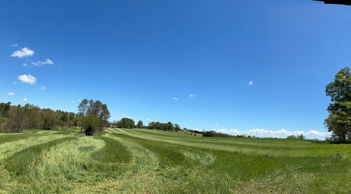 Tbd County Road 14 252, Drury, MO, 65638 | Card Image