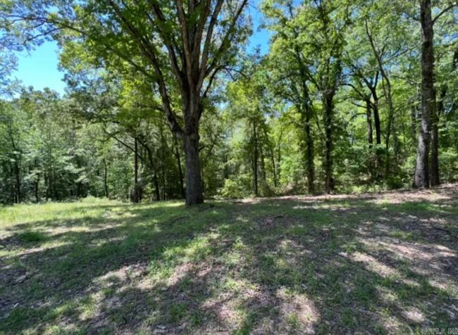 6.24 New Hope Rd, Home with 0 bedrooms, 0 bathrooms and null parking in Benton AR | Image 5