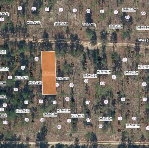 131 W Virginia St, Hawthorne, FL, 32640 | Card Image
