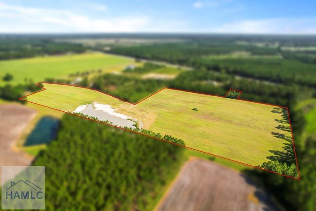 299 Collins Loop, Home with 0 bedrooms, 0 bathrooms and null parking in Odum GA | Image 4