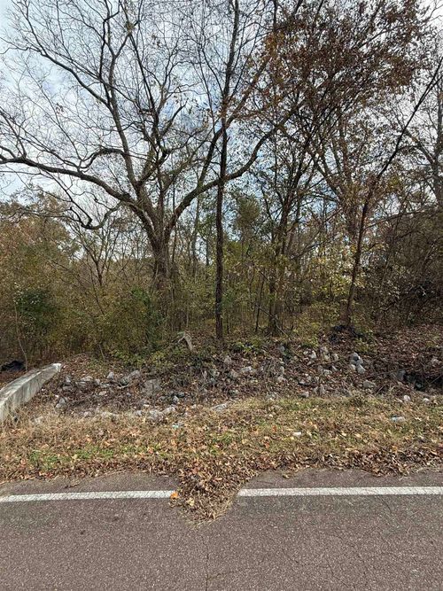 0 Tichenor St, Ripley, TN, 38063 | Card Image