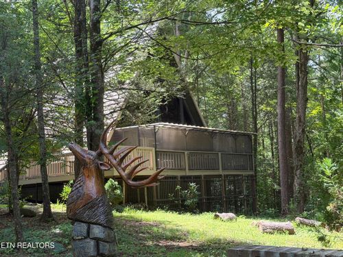 110 Buffalo Springs Way, Townsend, TN, 37882 | Card Image