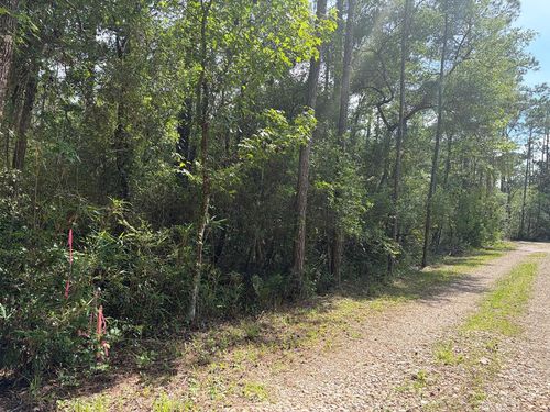 Lot 18 Pamela Pl, Sopchoppy, FL, 32358 | Card Image
