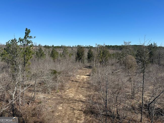 004 Mount Sinai Church Rd, Home with 0 bedrooms, 0 bathrooms and null parking in Butler GA | Image 7
