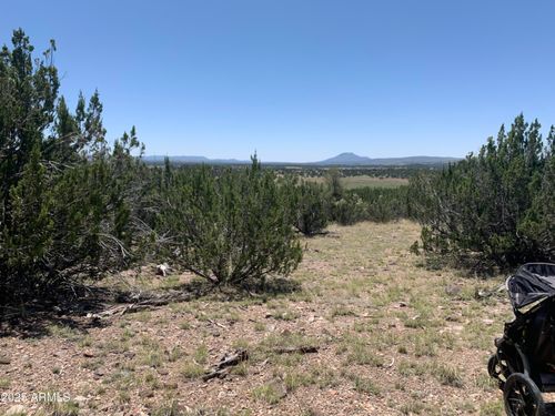 764-37925 W Raptor Rd, Seligman, AZ, 86337 | Card Image