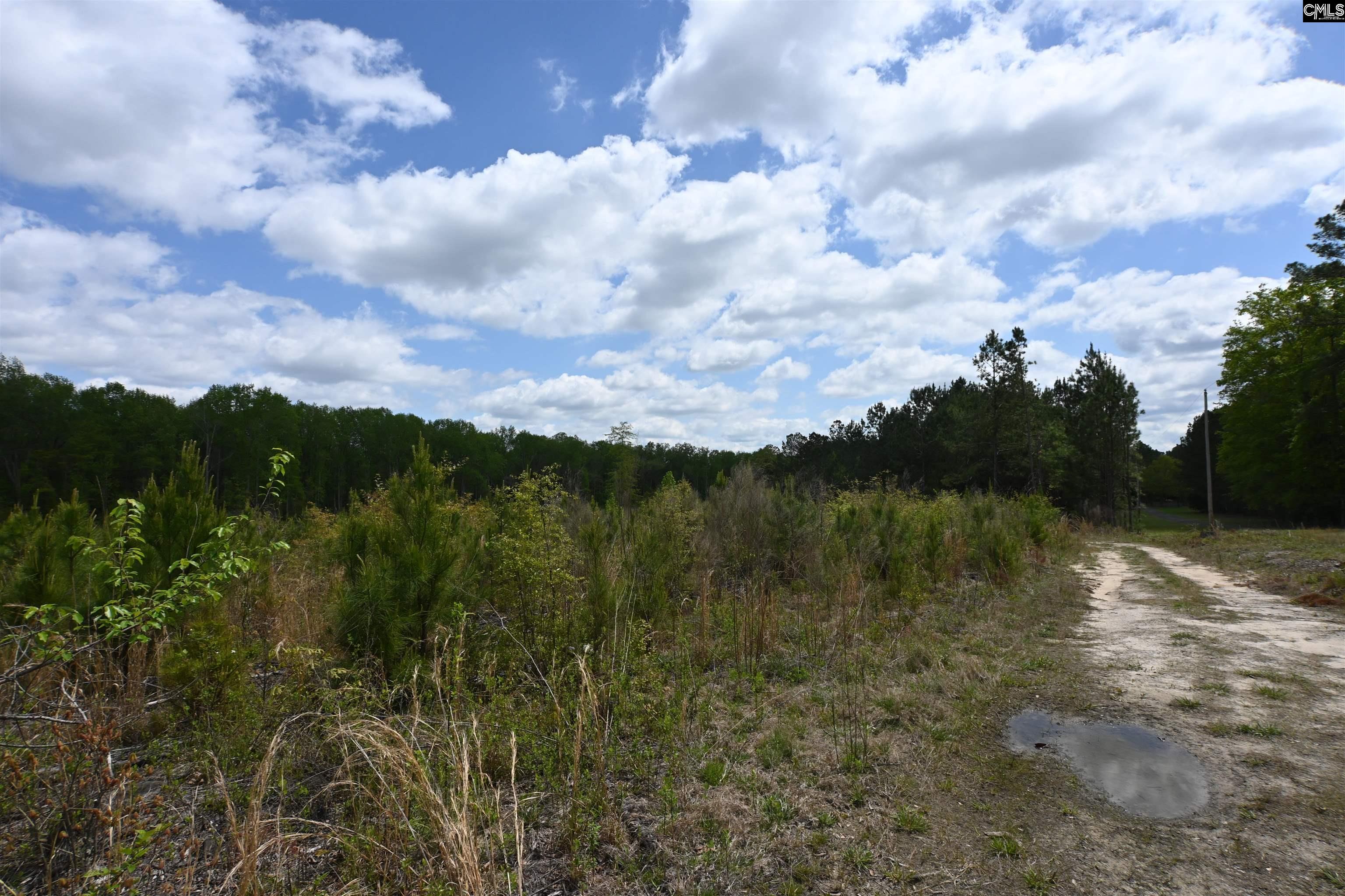 Land in West Columbia 3