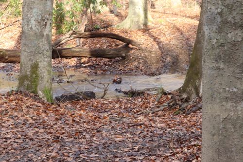 TBD Big Hill Rd, Mooresburg, TN, 37811 | Card Image