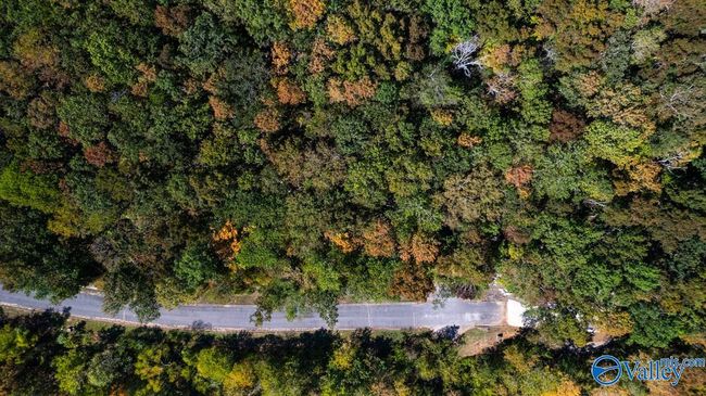7010 Ridge Crest Rd, Home with 0 bedrooms, 0 bathrooms and null parking in Owens Cross Roads AL | Image 6
