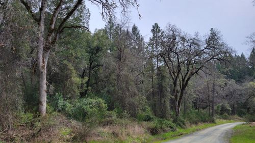 3291 Stage Trail Rd, Greenwood, CA, 95635-9223 | Card Image