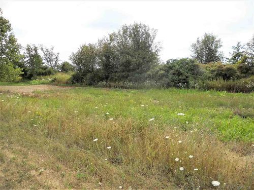 Parcel 3 Windmill Lane, Imlay Township, MI, 48444 | Card Image