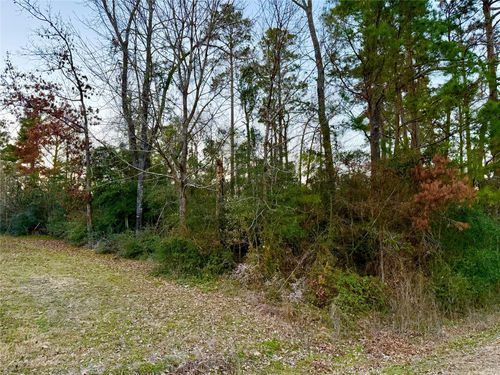 TBD Tallow St, Onalaska, TX, 77360 | Card Image