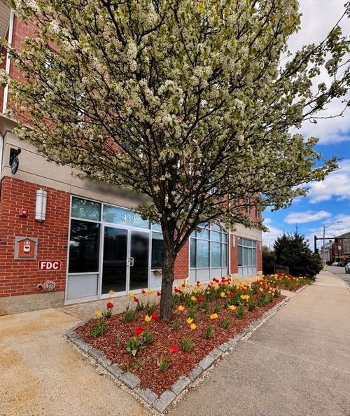 203-441 Washington St, Dedham, MA, 02026-4472 | Card Image