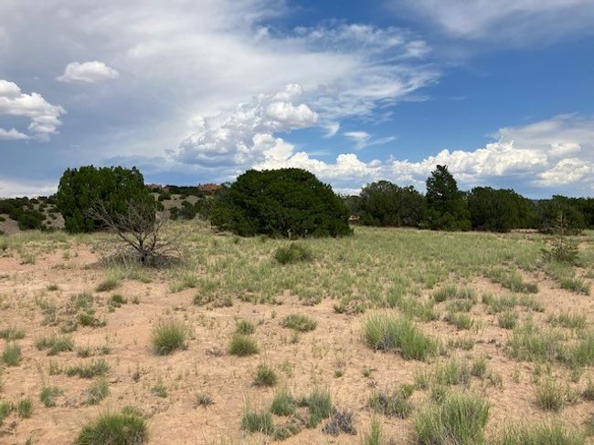 3 Private Drive 1613 B, Home with 0 bedrooms, 0 bathrooms and null parking in Medanales NM | Image 20