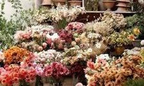 2114 54 Ave Sw, Calgary, AB, T3E1L7 | Card Image