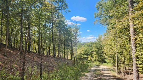 224 (Lot#15N) Revas Way, Story, AR, 71970-8207 | Card Image