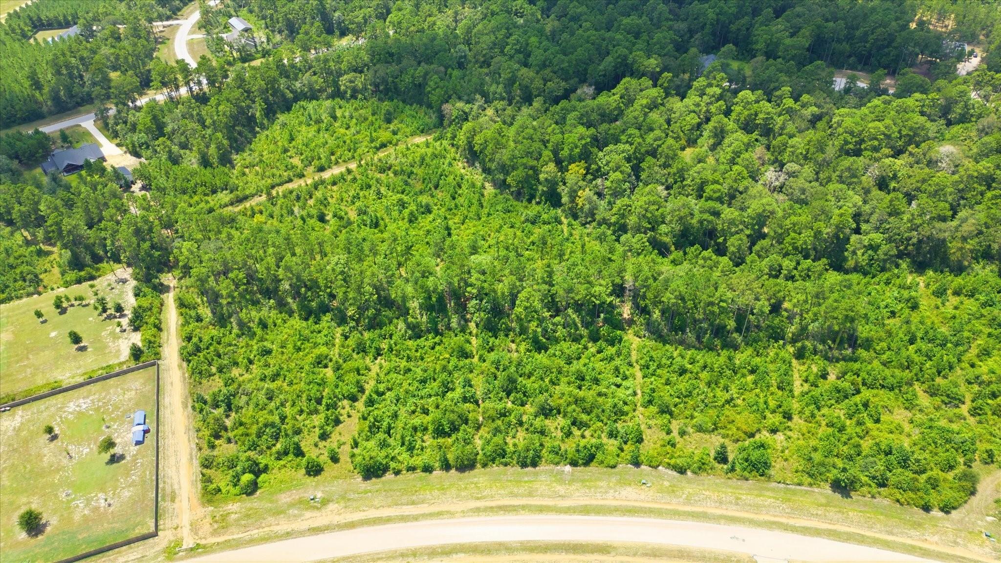 Land in Willis 2