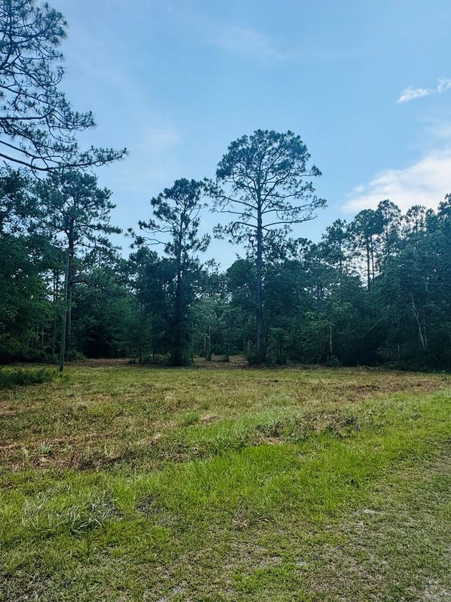 173 Skipper Rd, Home with 0 bedrooms, 0 bathrooms and null parking in Carrabelle FL | Image 4