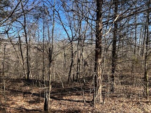 t-561-7789 E Co Road, Ava, MO, 65608 | Card Image