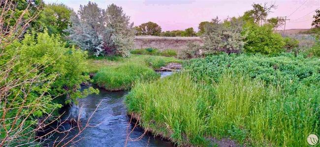 0 Belly Acres, Home with 0 bedrooms, 0 bathrooms and null parking in Other-See Remarks MT | Image 4
