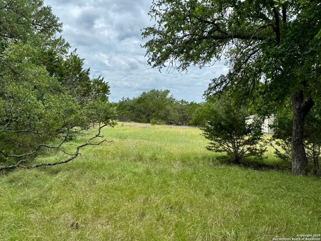 1187 Long Meadow, Home with 0 bedrooms, 0 bathrooms and null parking in Spring Branch TX | Image 12