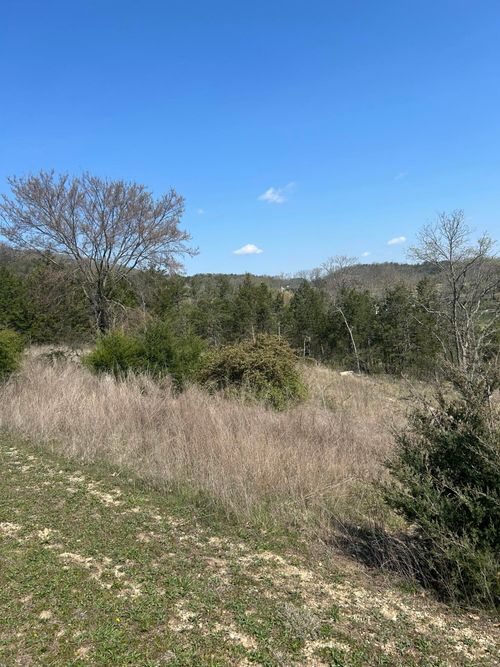 000 Pebble Beach Lot 5 Drive, Branson, MO, 65616 | Card Image