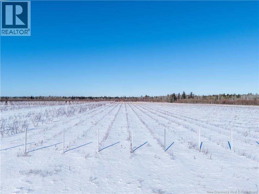 Land in Sainte-Anne-De-Kent 3