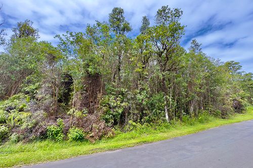 7086-11-3193 Lehua St, MOUNTAIN VIEW, HI, 96771 | Card Image