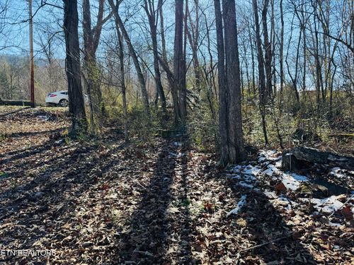 0 Pilgrim Circle, Cosby, TN, 37722 | Card Image